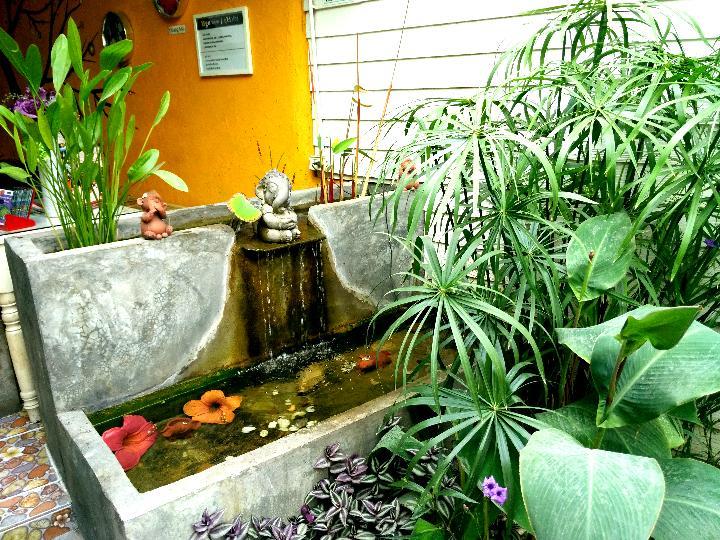 Yin Yang Guesthouse Chiang Mai Dış mekan fotoğraf