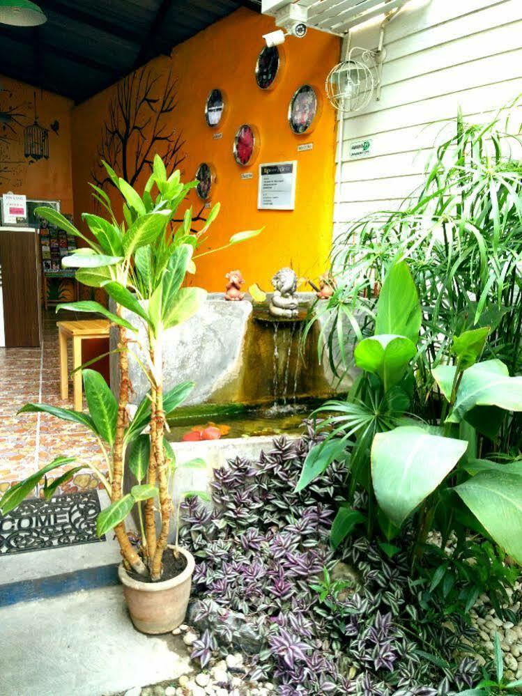 Yin Yang Guesthouse Chiang Mai Dış mekan fotoğraf